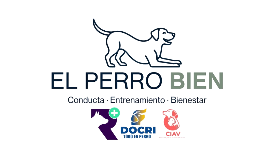 El Perro Bien